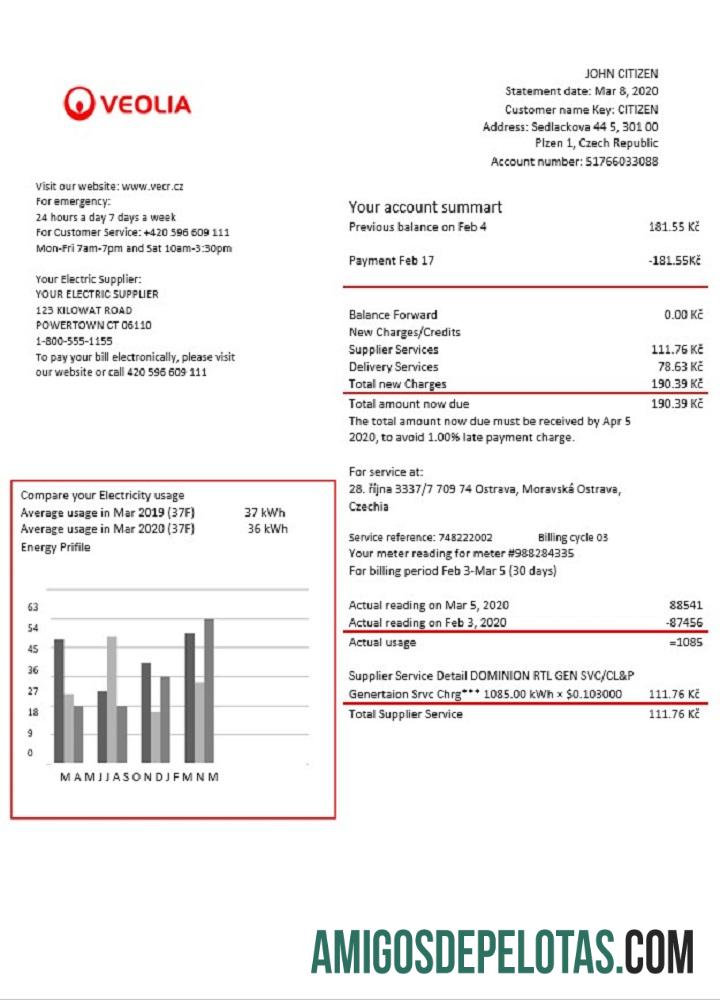 Tcheca Veolia Energy República Tcheca Projeto de lei de serviços públicos de energia amostra